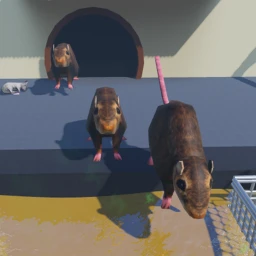 Rats When They See The KFC Deep Fryer. icon