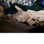 Nobody: