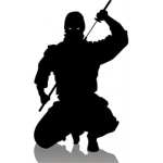 the ninjas of the dead