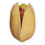 Store Gaem