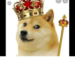 Doge Border