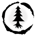 Darkwood Studio