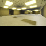 (No Screamers) Backroom Exploration