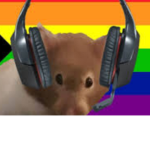 Hamster playz the group