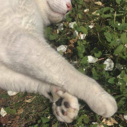 ⋆୧☁️🌱