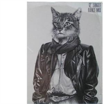 Kewl Kat skatz