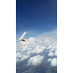 lucianap704