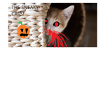the sneaky cats