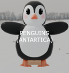 PenguinsFg