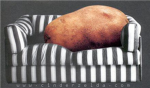 Elite Pie Incubating Couch-potatoes