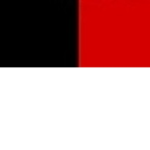 First Order Security Bureau ( T F O )