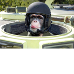 Monke’s At War!