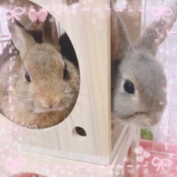 ♡