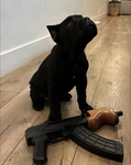OpalDistrict Group Thumbnail