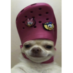 Mexican naruto