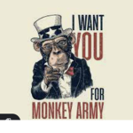 Monkey City of the Monkey civilitation