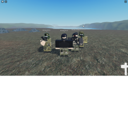 combat training