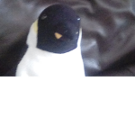 Penguin_