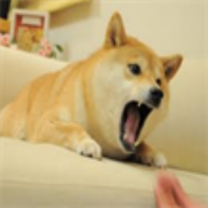 meme doge Roblox decal