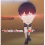 Volleyball fandom
