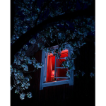 |:| Çúriøúś Mørtãłit¥ |:|