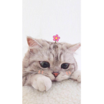 공쒸친구들!!!
