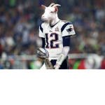The tombrady fan club
