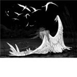 In Cecidit Angelus