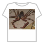 SCARY Spider