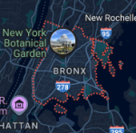 True Bronxites