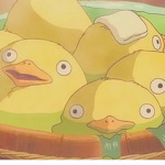 The yellow jakets