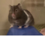 Simon s gang