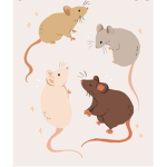 RAT AND CHEESE SQAUD