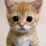 ぁぁぁぁぁぁぁぁえ