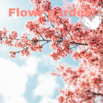 -*Flowrgarden*-