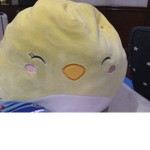 Chick is cute ducks and nice