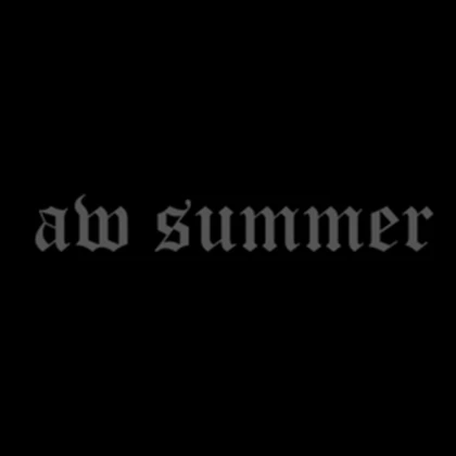 AW SUMMER Roblox group icon