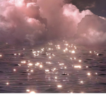 Starlightss group