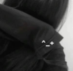 Vanilbean