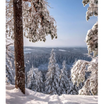 -*snowflakes apparel*-