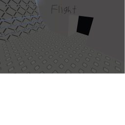 Flight