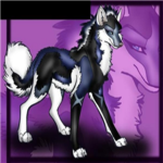 ~Onyx Pack~