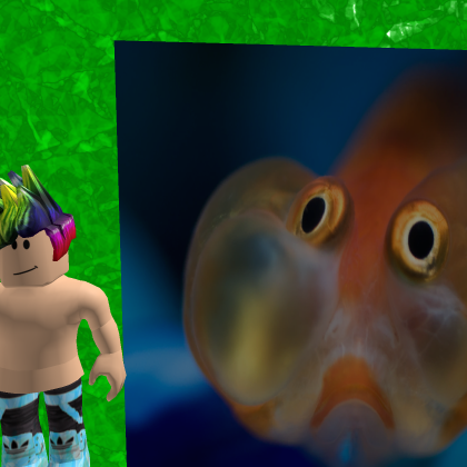 SBGPlays' Fishtank