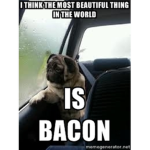 The Official Bacon Club