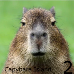 Capybara City icon