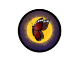 Midnight Butterfly Trading