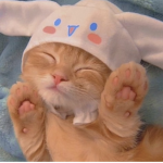 Hello kitty <33333!!