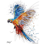 Bird Crew<3
