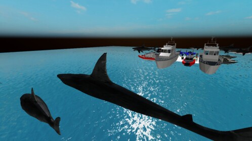 shark ATTACK