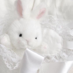 Bunniεѕ Group Thumbnail